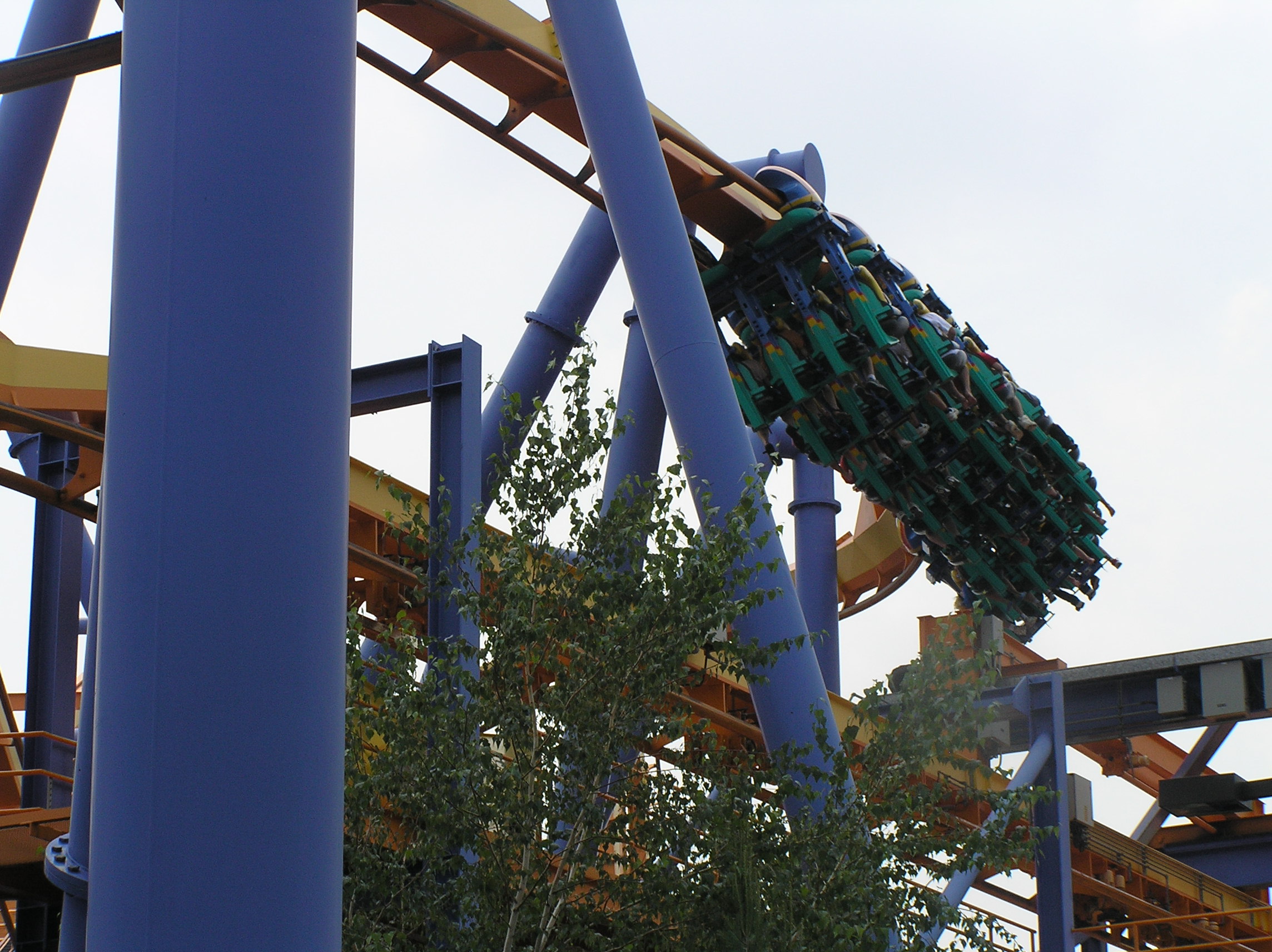 dorney.jpg